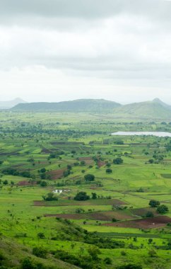 Landscape and field , Aundh , Satara , Maharashtra , India clipart