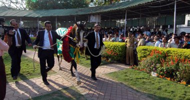 Winning horse at Mahalaxmi Race Course, Mumbai, Maharashtra, India, Asia  clipart