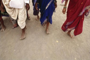 pandharpur yatra, pilgrims walking bare foot on way to pandharpur, maharashtra, india  clipart