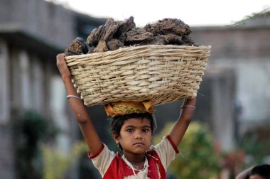 A young girl carrying dried cow dung which is used as a manure on her head at Ajanthi village, Hinganghat taluka, district Wardha, Maharashtra, India  clipart
