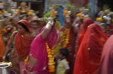 Mangal Kalash Kadınları Hindistan Asya 'da Jodhpur Rajasthan Yolunda Dans Ediyor 