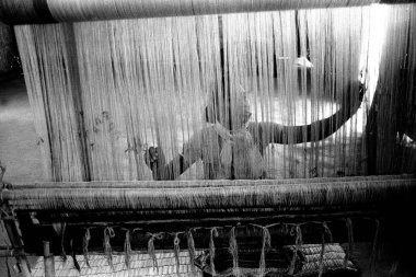 Bodo woman weaving on handloom, Assam, India   clipart