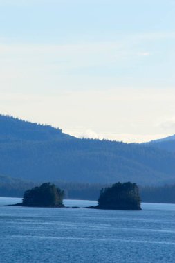Denizde ağaçlar; dağ; Ketchikan; Alaska; Amerika Birleşik Devletleri