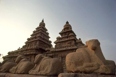 Arjunas Tövbe, Mahabalipuram 'da oyma, Tamil Nadu, Hindistan 