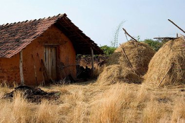 Hasat mevsiminden sonra kiremit çatılı çamur ve taştan yapılmış çiftlik evi, Konkan, Sindhudurg ilçesi, Maharashtra, Hindistan, Asya 