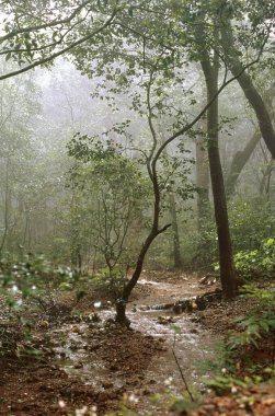 Muson, maharashtra, Hindistan 'daki Matheran manzarası