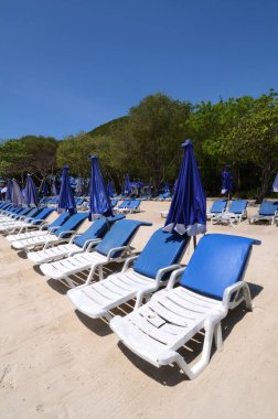 Pattaya yakınlarındaki Mercan Adası 'nda plaj sandalyeleri; Tayland