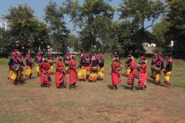 Mudia kabile dansçıları, jagdalpur, chhattisgarh, Hindistan, Asya 