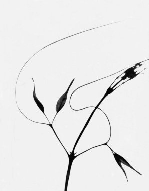 Dallar suda, Ghadoi 'de, Valsad' da, Gujarat 'ta, Hindistan' da, Asya 'da yansıyor. 