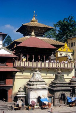 Pashupatinath Hindu Tapınağı; Katmandu; Nepal