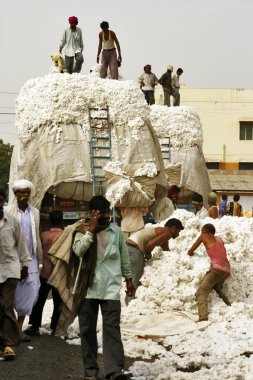 Erkek işçiler kamyon pazarlama sahasına çiğ pamuk yüklüyorlar, Rajkot, Gujarat, Hindistan  