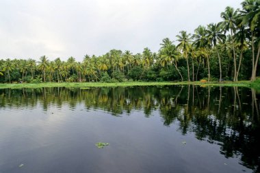 durgun su, iddia, kerala, Hindistan 