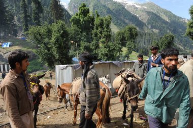 People with horse, amarnath yatra, jammu Kashmir, india, asia  clipart