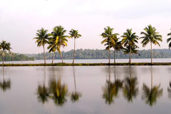 stock image Backwaters of Kodungallur, Kerala, India 