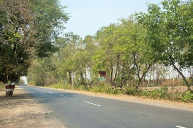 Baramati, Maharashtra, Hindistan ve Asya 'ya uzanan ağaçlar. 