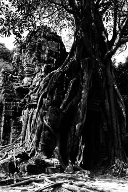 Banteay kdei, angkor wat, siem hasadı, Kamboçya 