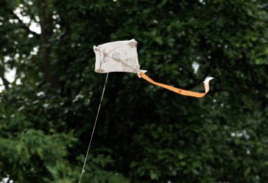 Havada uçan uçurtma, Sambalpur, Orissa, Hindistan 