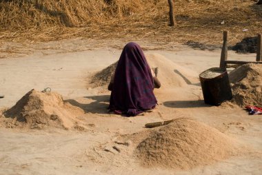 Rural woman winnowing grain ; Latehar; Jharkhand ; India clipart