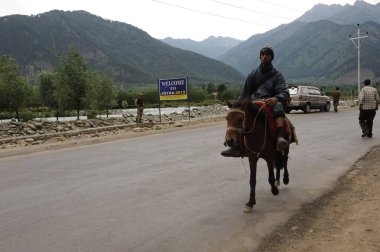 At üstünde oturan adam, Srinagar, jammu Kashmir, Hindistan, Asya 