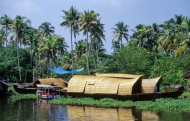 Backwaters, Allepy, Kerala, Hindistan
