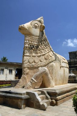 Lord Nandi 'nin heykeli, Gangaikonda Cholapuram, Cholas' ın başkenti, Shiva Tapınağı, Tamil Nadu, Hindistan