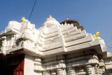 11. yüzyıl Brahmeshwar tapınağı Bhubaneswar, Orissa, Hindistan 'daki Orissan mimarisinin en önemli örneği olarak kabul edilen Lord Shiva' ya adanmıştır. 