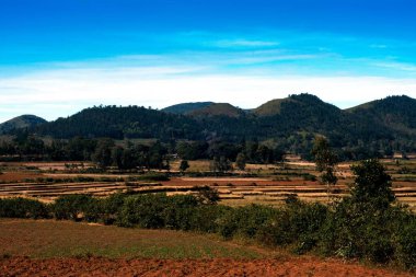 Peyzaj, Araku, Andhra pradesh, Hindistan, Asya 