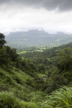 Malshej Ghat Thane Maharashtra Hindistan Asya