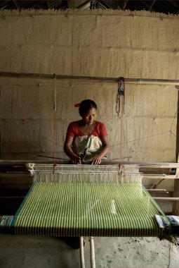 El işi, el dokuma tezgahında çalışan kadın, Sivil Toplum Örgütü Eylem Kuzey-Doğu Tröstü ANT, Bongaigaon, Assam, Hindistan