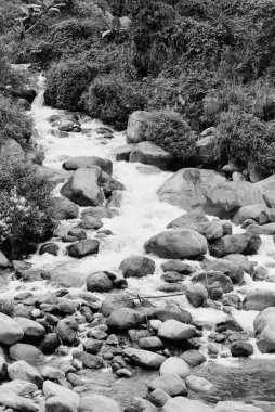 Nehir kayalık arazi boyunca akar, Tirap bölgesi, Arunachal Pradesh, Hindistan  