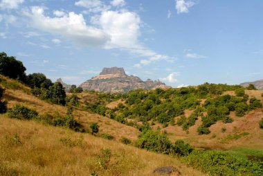 Dağ; Chanderi; Taluka Panvel; Ratnagiri Bölgesi; Maharashtra; Hindistan