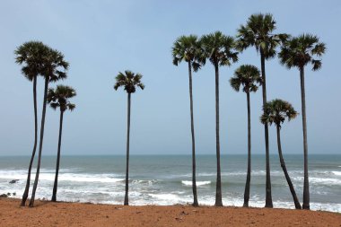 Vishakhapatnam yakınlarındaki Bheemili plajı; Andhra Pradesh; Hindistan