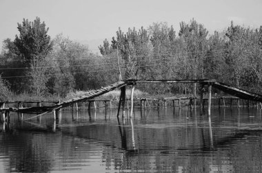 Srinagar, Kaşmir, Jammu ve Kaşmir, Hindistan, Asya 