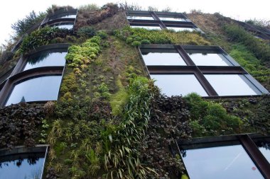 Dış duvar, Branly, Paris, Fransa ve Avrupa için tasarım olarak kullanılan yeşil bitkiler 