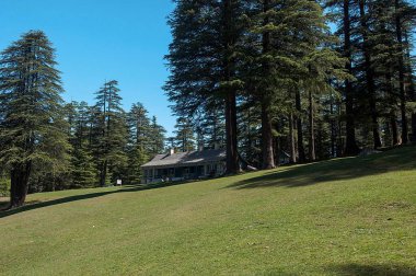 khajjiar Chamba 'da bir tepe istasyonu, himachal pradesh, Hindistan, Asya