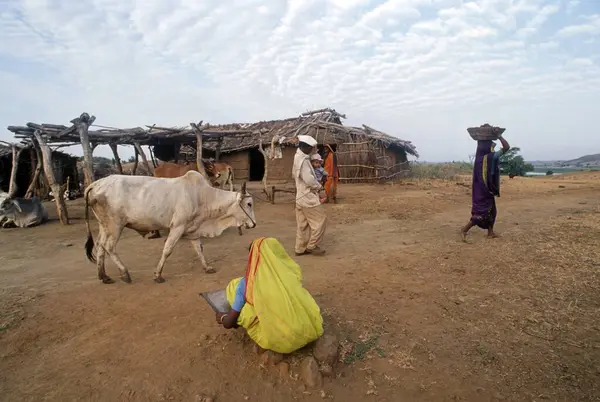 Köy hayatı, kala pani, dhule, maharashtra, Hindistan 