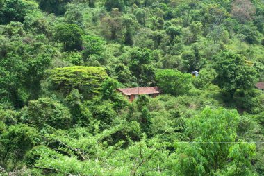 Madumalai yakınlarındaki Singara 'da ikinci vinç noktasında sahne; Nilgiris; Tamil Nadu; Hindistan