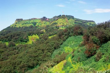 Pratapgad Kalesi ve Mahabaleshwar yakınlarındaki orman, Satara, Maharashtra, Hindistan 