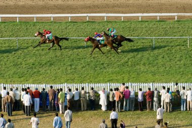 Poonawalla At Yarışı Mahalaxmi Yarış Pisti, Bombay Mumbai, Maharashtra, Hindistan 