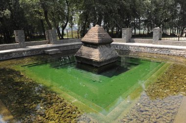 Pond, Srinagar, jammu Kashmir, Hindistan, Asya