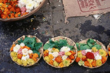 Trimbakeshwar, Nashik, Maharashtra, Hindistan, Asya 'daki çiçek sepetleri. 
