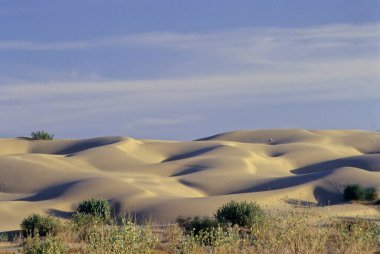 Sand ; Dunes ; Khuri ; Jaisalmer ; Rajasthan ; India clipart