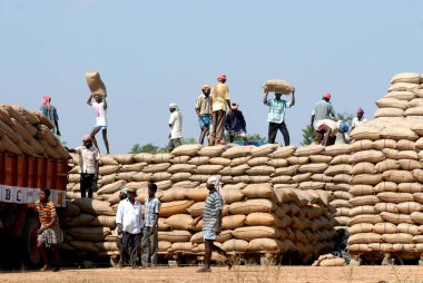 Neyveli, Tamil Nadu, Hindistan yakınlarında pirinç torbaları açık 