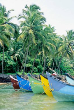 Baga Beach, Goa, Hindistan 'da gemiler