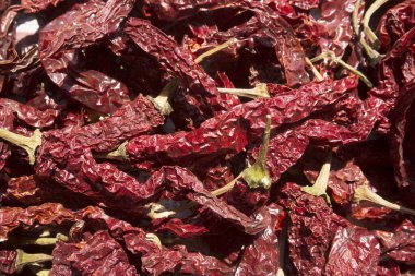 Sankeshwari kırmızı biber, mumbai, maharashtra, Hindistan, Asya 