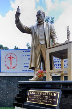 Bilim adamı Louis Pasteur, Coonoor, Ooty Udagamandalam, Tamil Nadu, Hindistan 