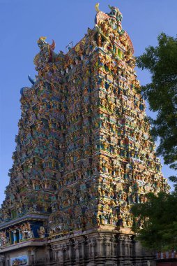 Meenakshi tapınağı Madurai Tamilnadu Hindistan