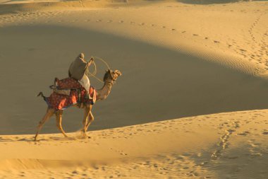 Sahibi devenin üzerine oturmuş Sam 'deki yumuşak kum tepelerinde kaçak yapıyor Jaisalmer; Rajasthan; Hindistan