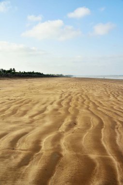 Kumsal, Kosamba Sahili, Valsad, Gujarat, Hindistan, Asya