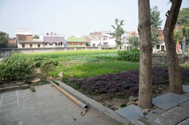 Kabir chaura, varanasi, uttar pradesh, Asya, Hindistan